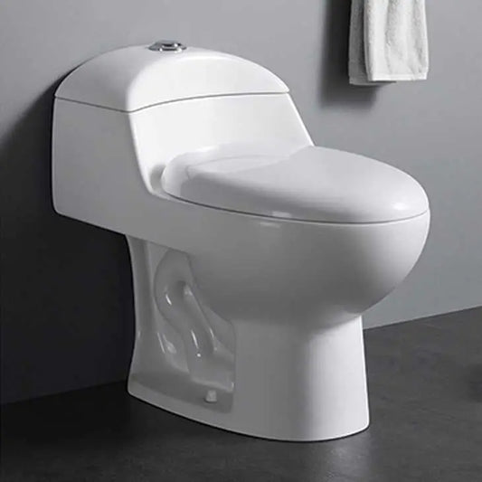 Modern One-Piece Ceramic Dual-Flush Toilets South American Style Water Closet Sanitary Ware for Hotels Washrooms S-Trap Drainage