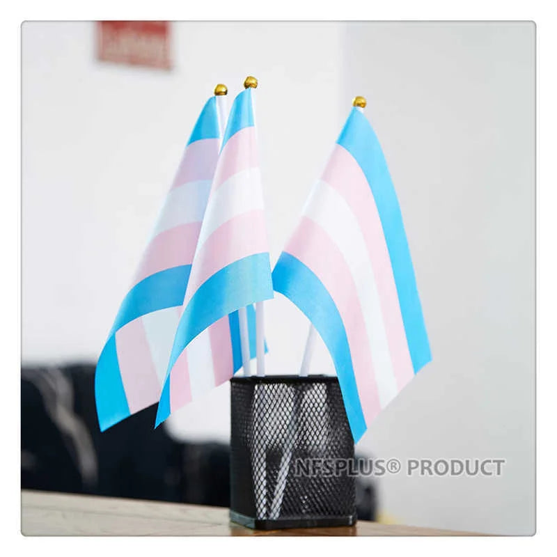 10 Pack Handheld Transgender Flag LGBT Trans Pride Banner 14x21cm With Small Stick Flagpole For Decoration Celebration Parades