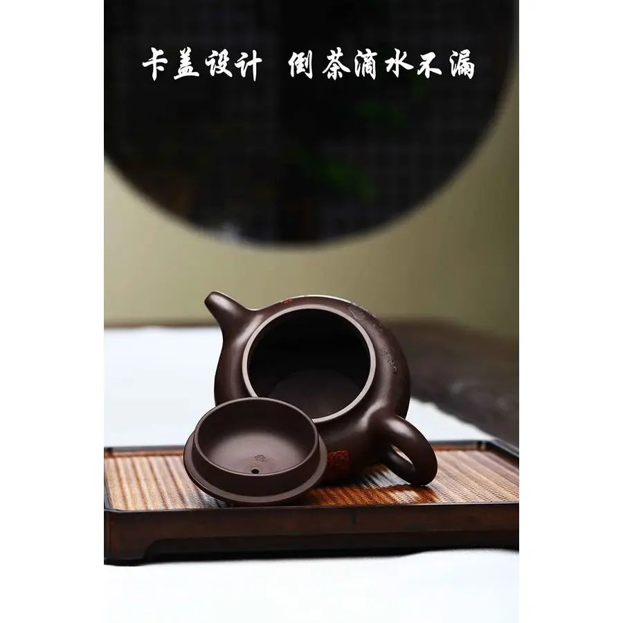Zisha Teapot, Chinese Yixing Purple Clay Tea Pot 310cc,Chinese Kungfu Brew Infuser Loose Leaf Tea