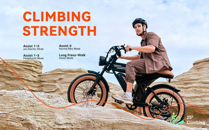 Eclio F02 Electric Bike For Adults, 749W Motor 20mph Ebike With 48V/20Ah Removable Battery, 20"x4" FAT Tires & LCD Display, Supports 330lbs - Ideal For Commuting & Urban Leisure Riding