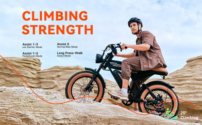 Eclio F02 Electric Bike for Adults, 20mph Ebike with 48V Removable Battery, 20" FAT Tires & LCD Display, Supports 330lbs - Ideal for Commuting & Urban Leisure Riding