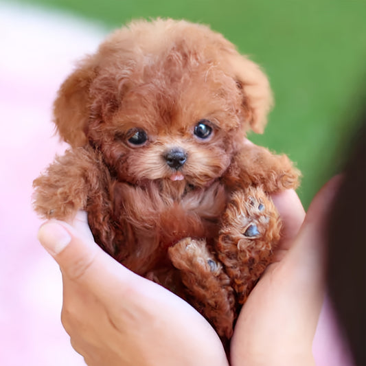 2025 Dog Ornament Figurines - 2pcs New Robot Dog, Puppy Desk Decoration, My Realistic Robot Puppy For Adults, My Little Dog Small Ornament, Robot Puppy That Acts Like A Real Puppy - Walking, Barking, Tail Wagging, Home Decora
