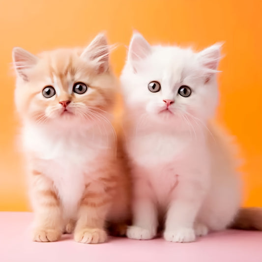 2025 New Robot Dog Cat, Robot Puppy That Acts Like A Real Puppy - Walking, Barking, Tail Wagging