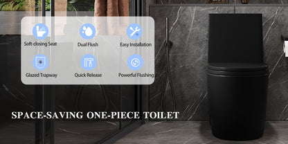 1.1/1.60 GPF Dual-Flush Toilet, Water-Saving Elongated Comfort Height Floor Mounted, Soft Close Seat, 2.2 LB Map Flushing Score Toilet, Matte Black