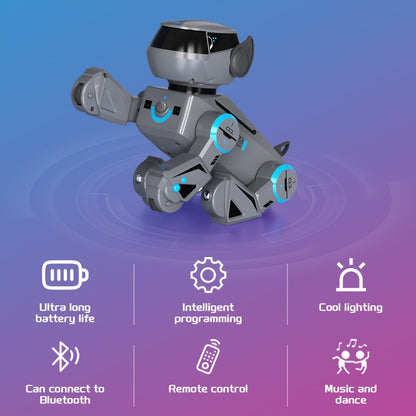 2.4Ghz RC Robot Dog with 2D/3D Acrobatics, Music & Dance, Intelligent Programming, USB Rechargeable Battery, Remote Control, for Boys & Girls, Ages 6 & Up