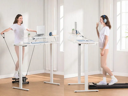 Electric Standing Desk with Drawers, Sit Stand up Desk, Height Adjustable Ergonomic Home Office Computer Desk