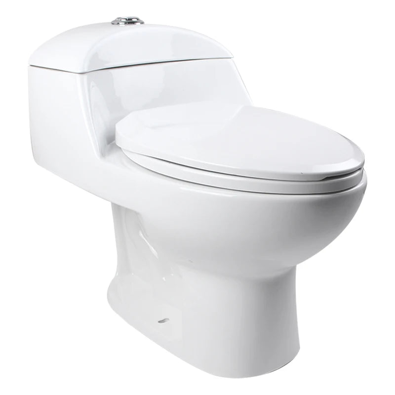 Modern One-Piece Ceramic Dual-Flush Toilets South American Style Water Closet Sanitary Ware for Hotels Washrooms S-Trap Drainage