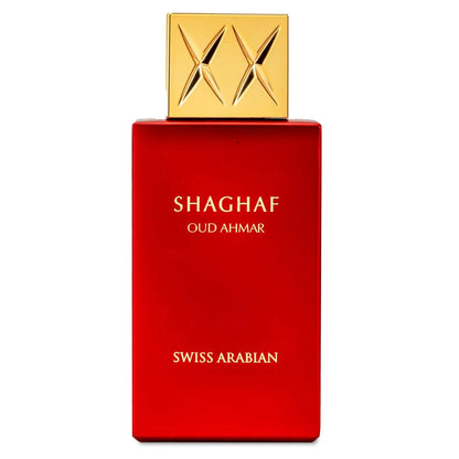 Dubai Unisex Arabic Perfume Sprays Long-lasting Woody Cologne with High Quality Exquisite Scent