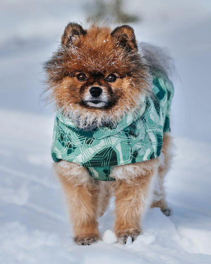 Winter Pet Dog Clothes for Large Dogs Warm Waterproof Dog Clothing Coat Thicker Cotton Padded Dog Jacket Pitbull French Bulldog