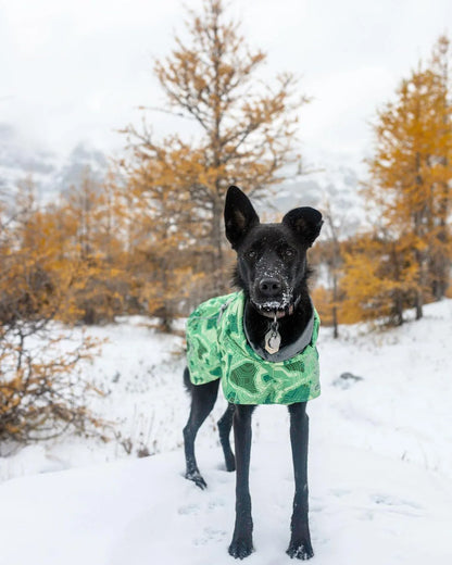 Winter Pet Dog Clothes for Large Dogs Warm Waterproof Dog Clothing Coat Thicker Cotton Padded Dog Jacket Pitbull French Bulldog