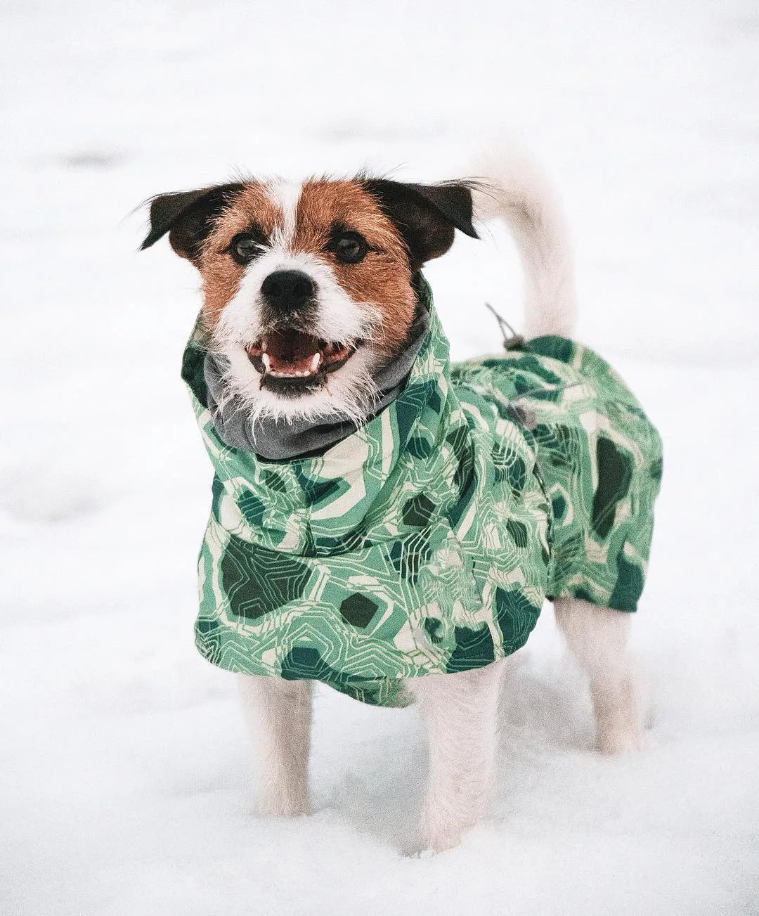 Winter Pet Dog Clothes for Large Dogs Warm Waterproof Dog Clothing Coat Thicker Cotton Padded Dog Jacket Pitbull French Bulldog