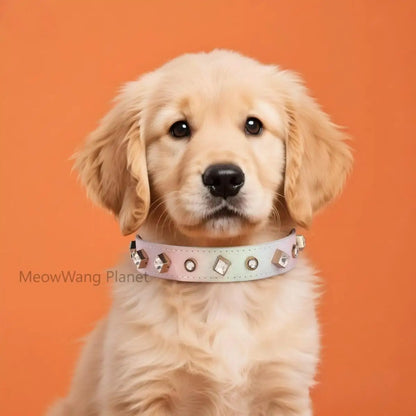Luxury & Cute Leather Rivet Solid Beaded Pet Supplies Collar Leash & Neck Ring for Small & Medium Dogs