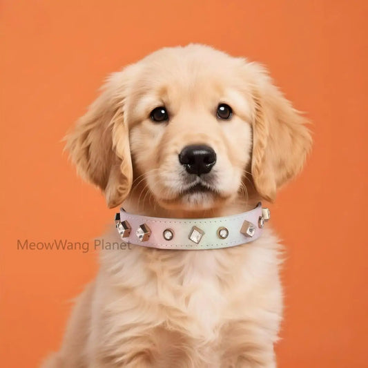 Luxury & Cute Leather Rivet Solid Beaded Pet Supplies Collar Leash & Neck Ring for Small & Medium Dogs