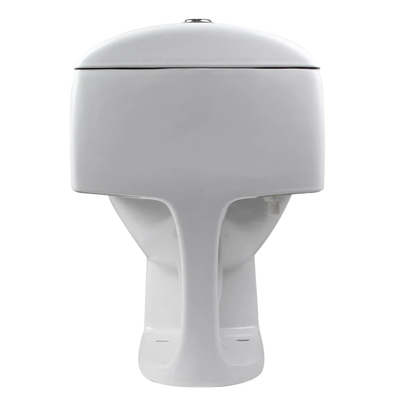 Modern One-Piece Ceramic Dual-Flush Toilets South American Style Water Closet Sanitary Ware for Hotels Washrooms S-Trap Drainage