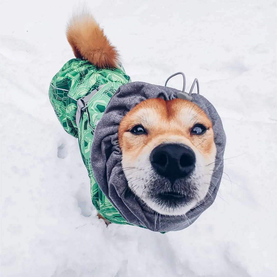 Winter Pet Dog Clothes for Large Dogs Warm Waterproof Dog Clothing Coat Thicker Cotton Padded Dog Jacket Pitbull French Bulldog