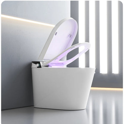 Hot Selling Electronic Bathroom Sanitary Ware Smart Toilet Bidet Automatic Flushing Ceramic Intelligent Toilets