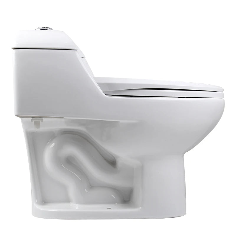 Modern One-Piece Ceramic Dual-Flush Toilets South American Style Water Closet Sanitary Ware for Hotels Washrooms S-Trap Drainage