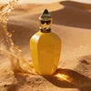 US&EU Stock 2-4 Days Delivery Top Quality Long-lasting Perfume Wholesale Durable Men's and Women's Body Spray Neutral Cologne