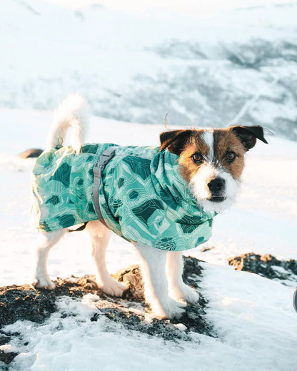 Winter Pet Dog Clothes for Large Dogs Warm Waterproof Dog Clothing Coat Thicker Cotton Padded Dog Jacket Pitbull French Bulldog