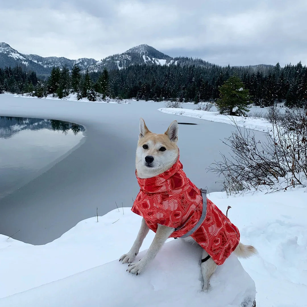Winter Pet Dog Clothes for Large Dogs Warm Waterproof Dog Clothing Coat Thicker Cotton Padded Dog Jacket Pitbull French Bulldog