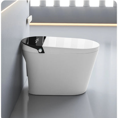 Hot Selling Electronic Bathroom Sanitary Ware Smart Toilet Bidet Automatic Flushing Ceramic Intelligent Toilets