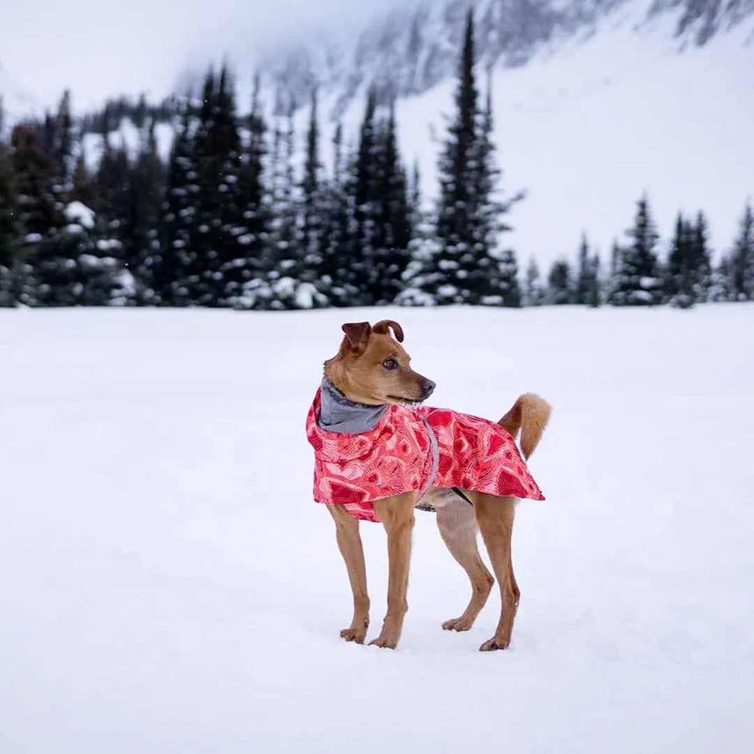 Winter Pet Dog Clothes for Large Dogs Warm Waterproof Dog Clothing Coat Thicker Cotton Padded Dog Jacket Pitbull French Bulldog
