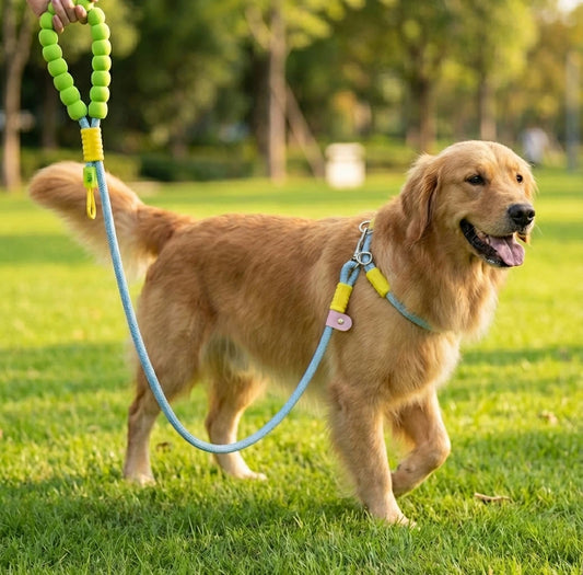 Hot Selling Bubble Cotton Dog Leash - Adjustable Multifunctional Reflective Pet Lead, Soft Comfortable Dog Leash
