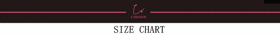 CINOON Fancy Sexy Women's Underwear Set Lace Erotic Brassiere Female Lingerie Thin Transparent Bra Set Push Up Bra And Panty Set