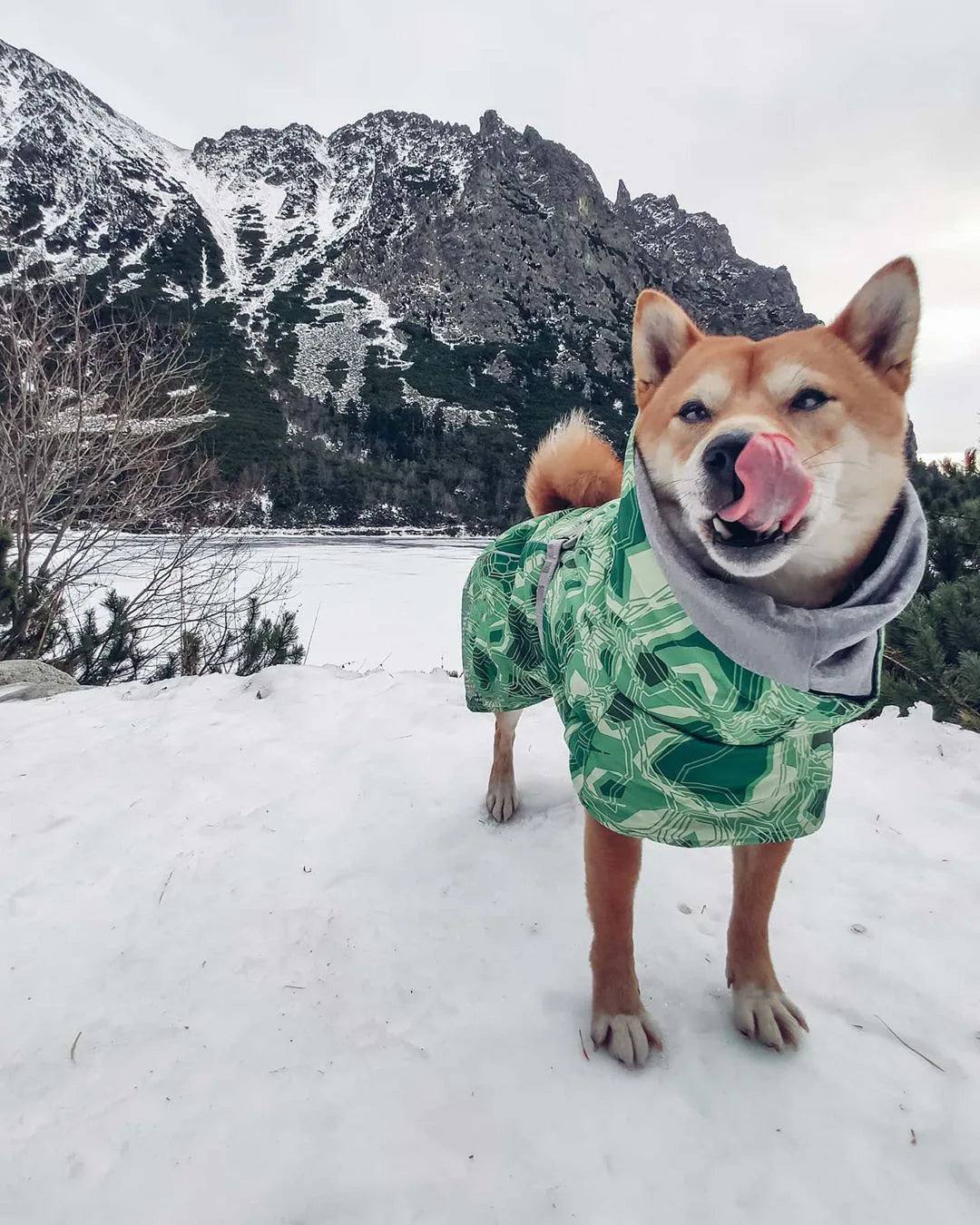 Winter Pet Dog Clothes for Large Dogs Warm Waterproof Dog Clothing Coat Thicker Cotton Padded Dog Jacket Pitbull French Bulldog