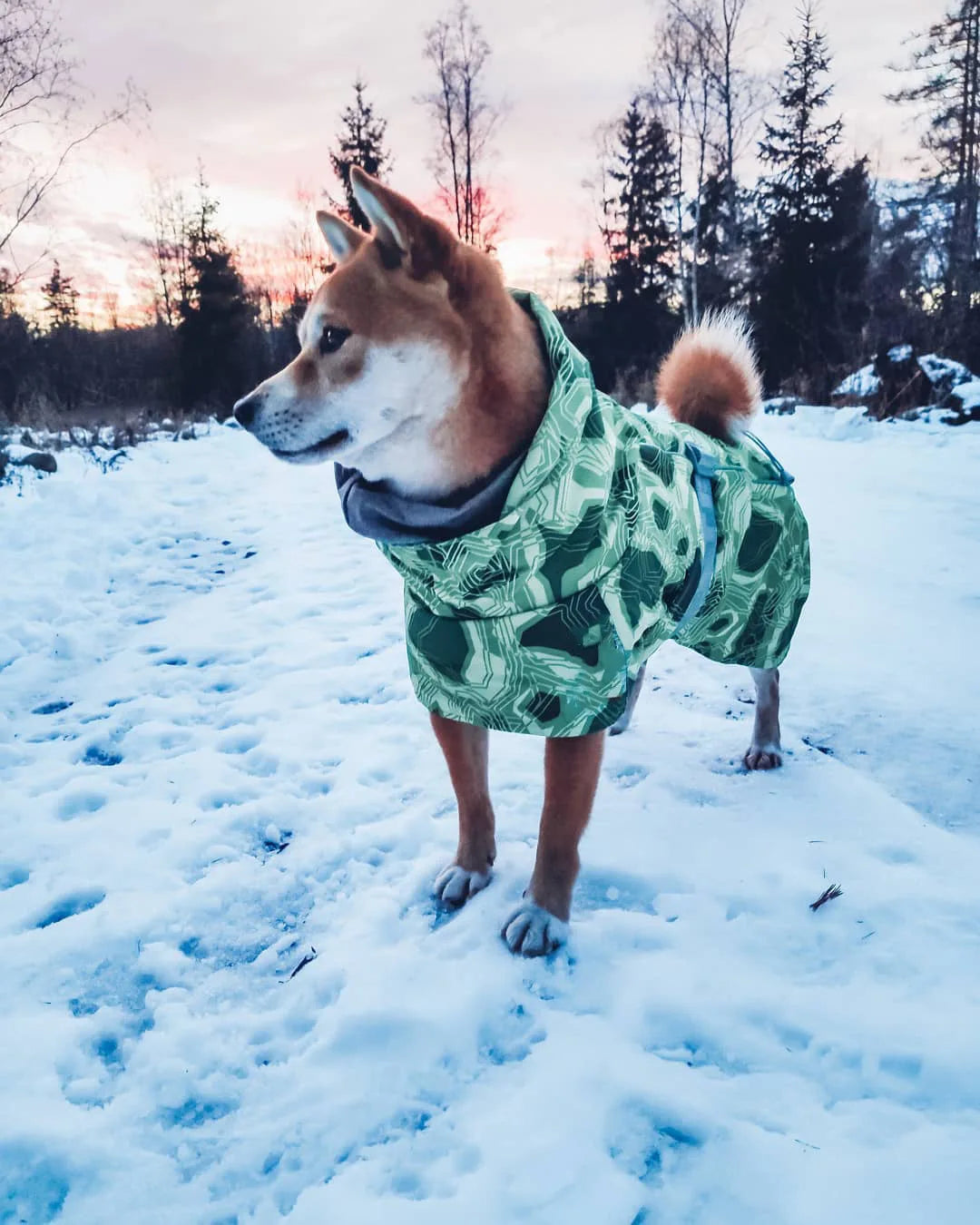 Winter Pet Dog Clothes for Large Dogs Warm Waterproof Dog Clothing Coat Thicker Cotton Padded Dog Jacket Pitbull French Bulldog
