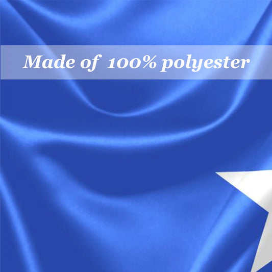 Transgender Trans Pride Flag 2x8ft Flying Banner 60x240cm Printing Design All Styles And Logos 100D Polyester Decoration