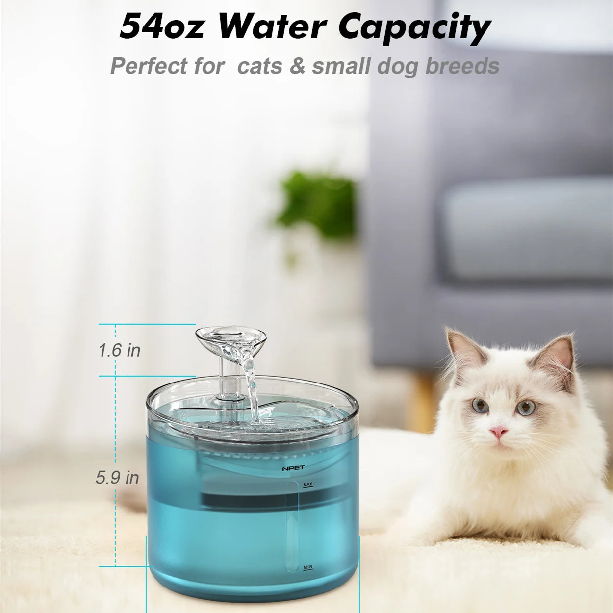 NPET 1.6L Automatic Cat Water Fountain with Leaf Shape Kit Bottom Suction Quiet Pump for Cats & Small Dogs Pet  Water Dispenser