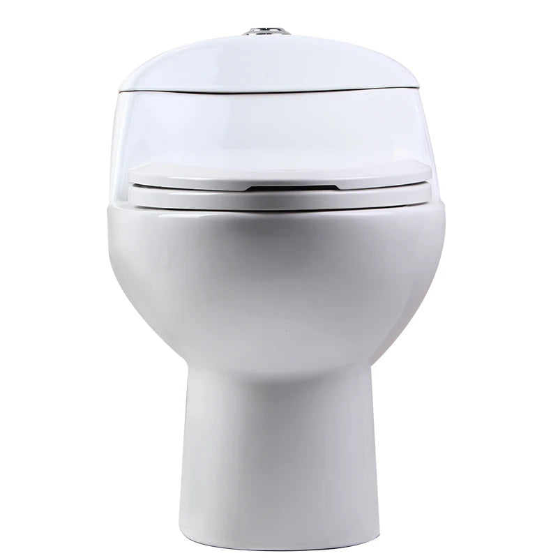 Modern One-Piece Ceramic Dual-Flush Toilets South American Style Water Closet Sanitary Ware for Hotels Washrooms S-Trap Drainage