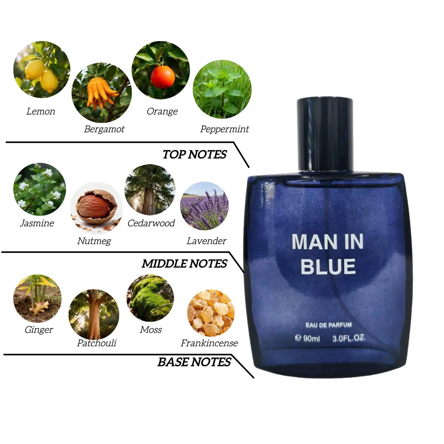 MAN in BLUE Cologne for Men - 90ml EDP Long-Lasting Lemon Mint Lavender | Fresh Scent Gift for Boyfriend Holidays