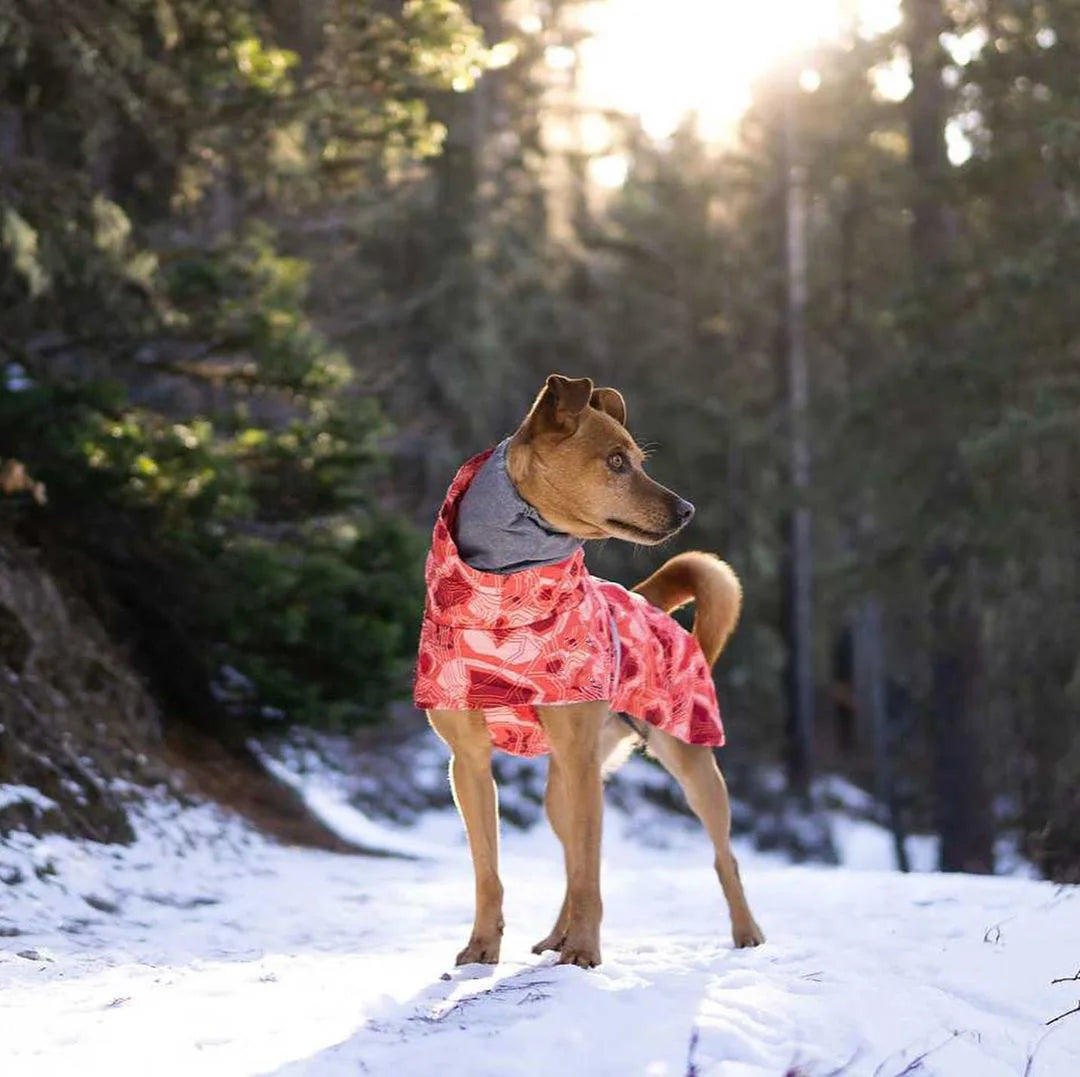 Winter Pet Dog Clothes for Large Dogs Warm Waterproof Dog Clothing Coat Thicker Cotton Padded Dog Jacket Pitbull French Bulldog
