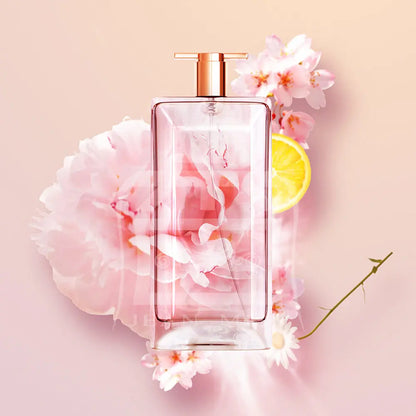 Designer Dubai Luxury Perfumes Wholesale Cologne Supplier 1 1 with Receipt Body Splash JEAN MISSOriginal Brand Fragrance 50ML