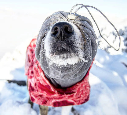 Winter Pet Dog Clothes for Large Dogs Warm Waterproof Dog Clothing Coat Thicker Cotton Padded Dog Jacket Pitbull French Bulldog