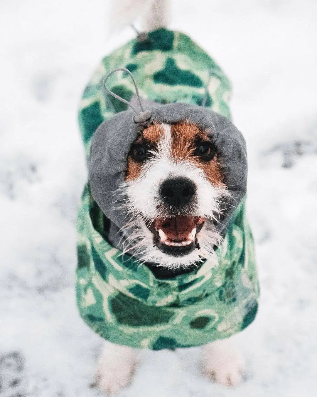 Winter Pet Dog Clothes for Large Dogs Warm Waterproof Dog Clothing Coat Thicker Cotton Padded Dog Jacket Pitbull French Bulldog