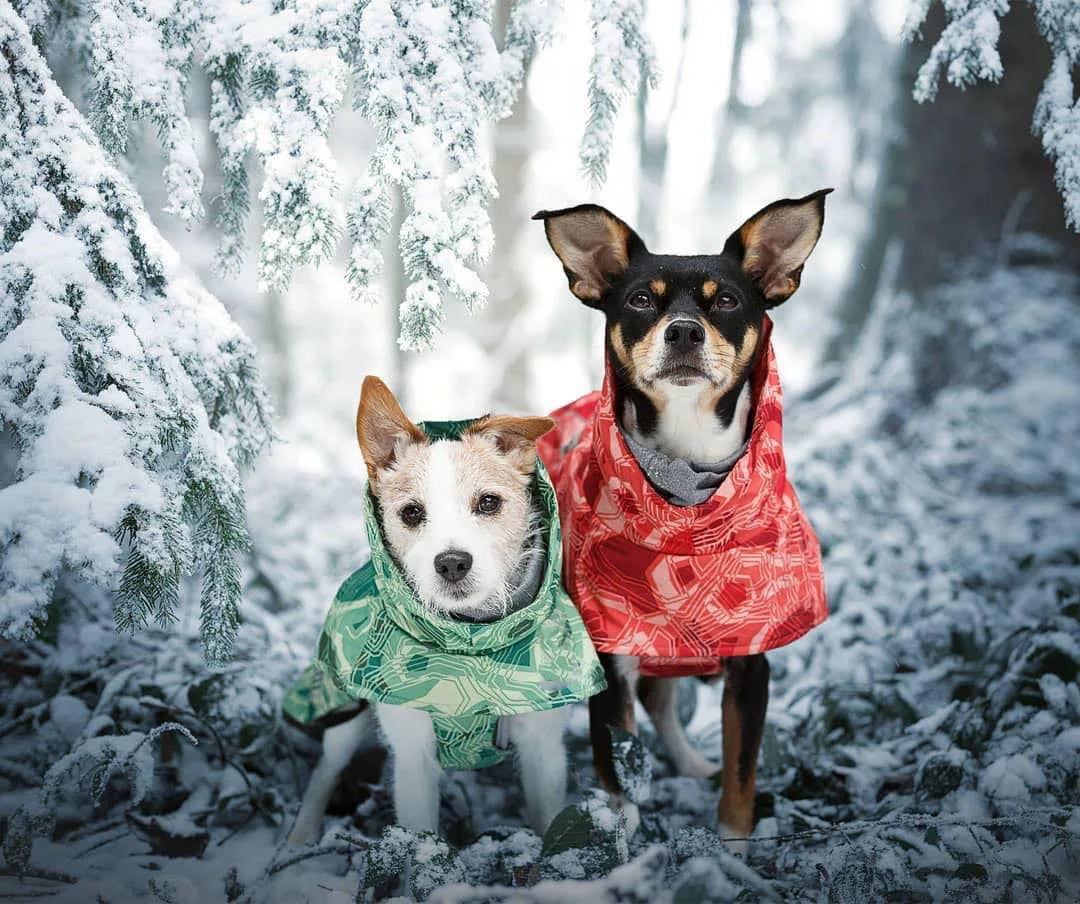Winter Pet Dog Clothes for Large Dogs Warm Waterproof Dog Clothing Coat Thicker Cotton Padded Dog Jacket Pitbull French Bulldog