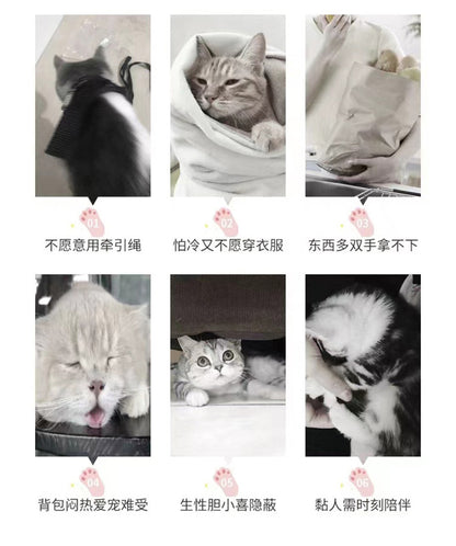 Foldable, Breathable and Lightweight Cat Bag for Carrying Pets When Traveling, Handbag for Pets, Car Bag for Cats