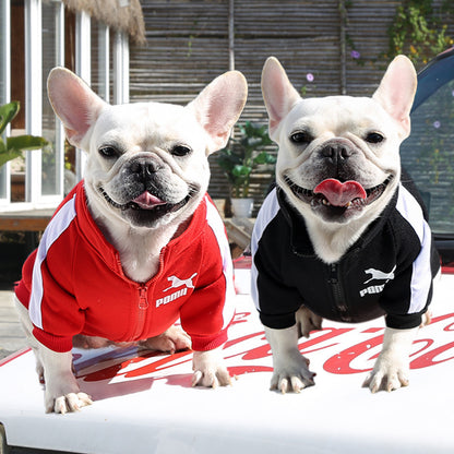 Manufacturer Customizes Pet Clothes for Autumn and Winter, Warm Trendy Brand Sweatshirts with Letters for Dogs and Cats, Small, Medium and Large Dog Supplies