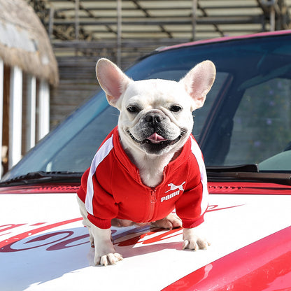 Manufacturer Customizes Pet Clothes for Autumn and Winter, Warm Trendy Brand Sweatshirts with Letters for Dogs and Cats, Small, Medium and Large Dog Supplies