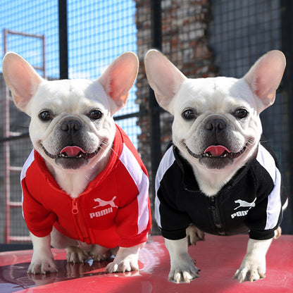Manufacturer Customizes Pet Clothes for Autumn and Winter, Warm Trendy Brand Sweatshirts with Letters for Dogs and Cats, Small, Medium and Large Dog Supplies