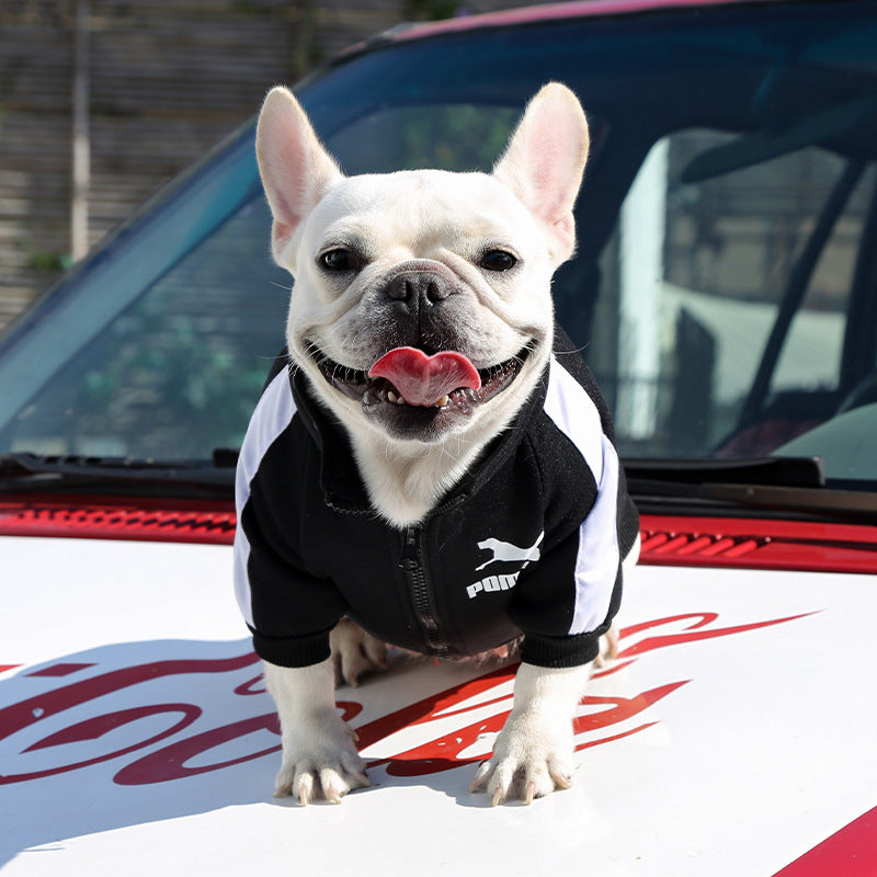 Manufacturer Customizes Pet Clothes for Autumn and Winter, Warm Trendy Brand Sweatshirts with Letters for Dogs and Cats, Small, Medium and Large Dog Supplies