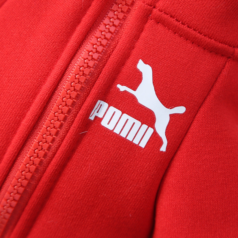 Manufacturer Customizes Pet Clothes for Autumn and Winter, Warm Trendy Brand Sweatshirts with Letters for Dogs and Cats, Small, Medium and Large Dog Supplies