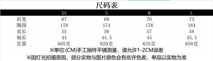 European and American Cross-Border Women's Clothing 2025 Early Spring New Fashion Suede Casual Style Versatile Casual Simple Aviator Jacket