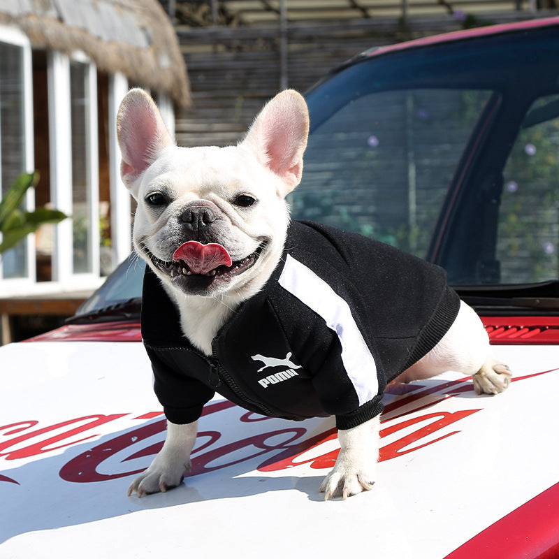 Manufacturer Customizes Pet Clothes for Autumn and Winter, Warm Trendy Brand Sweatshirts with Letters for Dogs and Cats, Small, Medium and Large Dog Supplies