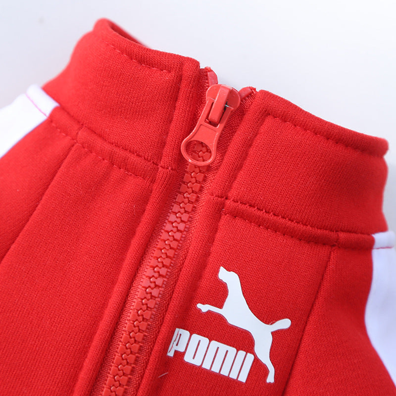 Manufacturer Customizes Pet Clothes for Autumn and Winter, Warm Trendy Brand Sweatshirts with Letters for Dogs and Cats, Small, Medium and Large Dog Supplies