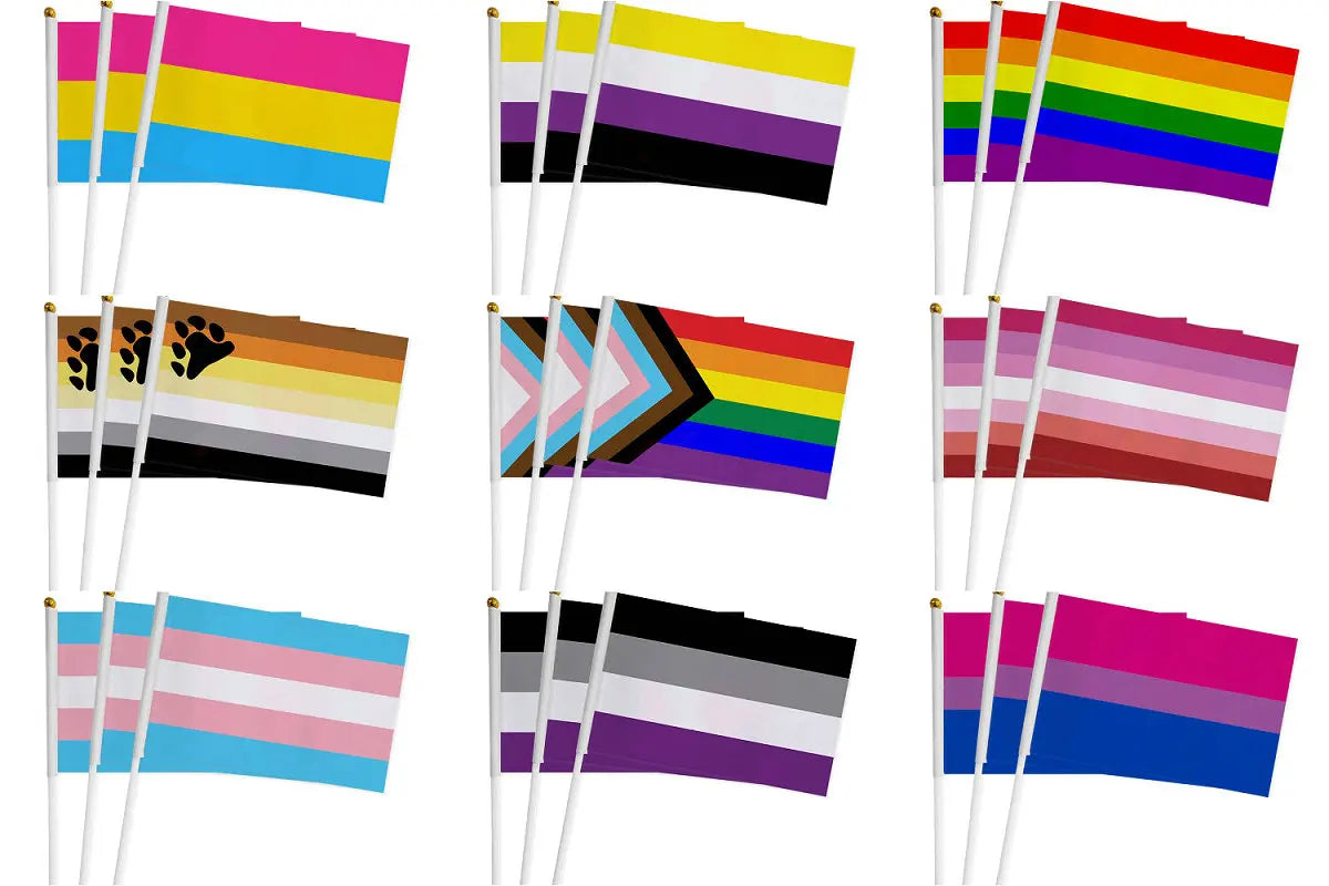 Hand Flag 100pcs 14x21cm Dream SMP Flag Gay Lesbian Homosexual Bisexual LGBT Pride Flag Customized Rainbow Hand Flag