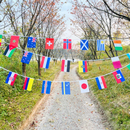 2026 48/pcs/set Hand Held National Flag 14x 21cm Country Flag NEW Cup Countries Flag Bunting National String Banner Football Eve